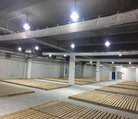 湖南仁源醫(yī)藥倉庫溫濕度調(diào)控項目